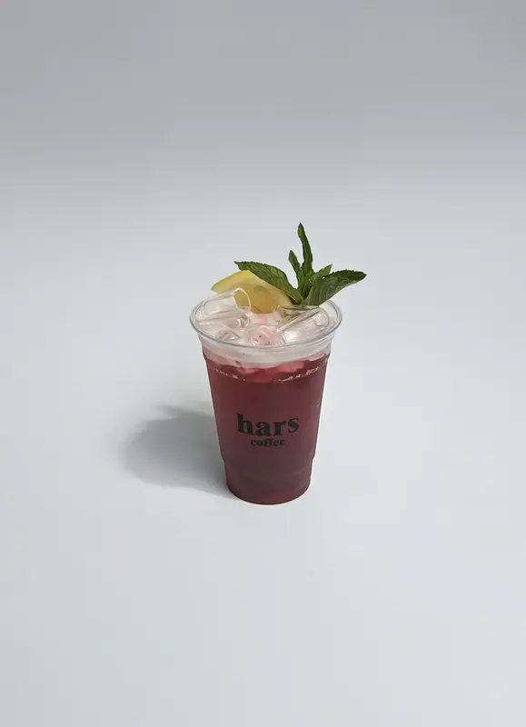 Iced Tea Hibiscus
